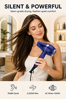 Sèche-cheveux ionique à moteur électrique professionnel 2200W AC à faible bruit séchage rapide haute qualité Salon et usage domestique