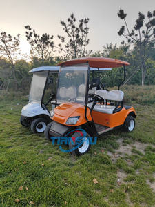 2025 New Classic <span class=keywords><strong>2</strong></span> 1 6-Sitzer Elektrischer Sightseeing Golf wagen 48V Lithium batterie 6 Passagier Golf Buggy - Product Image 4