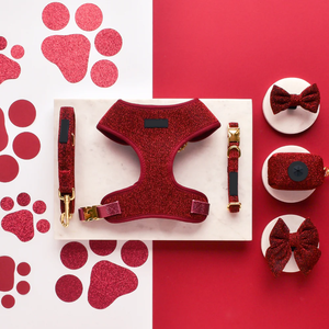 Set kerah anjing dan tali anjing desain khusus dengan kain mengkilap poliester lembut merah Harness anjing Set - Product Image 5
