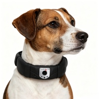 Clôture Électronique pour Chien avec Caméra de Surveillance, Suivi de Localisation Vidéo en Temps Réel et Interphone