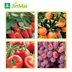 Fertilizante Líquido Agrícola Solúvel em Água Ca-Mg-B-Fe-Zn-Mn-Mo, Alto Teor de Cálcio e Magnésio, Bioestimulante Multimicronutriente para Plantas - Product Image 5