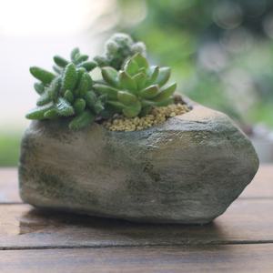Personnalité Creative Divers Styles Ciment Pierre Forme Micro-Paysage Succulentes Bonsaï Planteur Pots De Fleurs pour Jardin Déco - Product Image 4