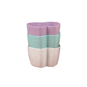 Chậu Hoa Để Bàn Nhỏ Màu Sắc Thiết Kế Hiện Đại Cho Vườn Nhà Chậu Trồng Cây Mọng Nước Hình Trái Tim Bằng Gốm - Product Image 5