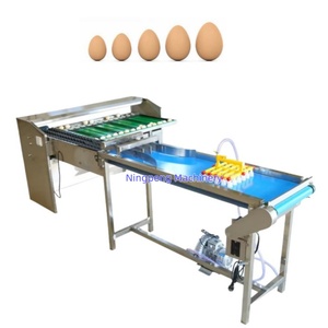 NP Brand Egg Grader y Candler Egg Grader <span class=keywords><strong>Machine</strong></span> Máquina automática de clasificación de huevos de pollo - Product Image 6