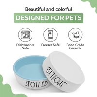 Bol pour chat en porcelaine, compatible micro-ondes, pour chiots et animaux, grand bol en céramique pour nourriture et eau pour chats et chatons