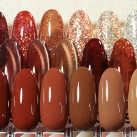DANNYCOLL 30 Couleurs Brun Collection Gel Vernis Ensemble Marque Privée En Gros HEMA GRATUIT Automne Hiver Gel Vernis À Ongles Logo Personnalisé