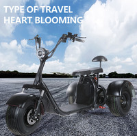 Tricycle électrique à trois roues certifié EEC, cadre en aluminium, pneus larges, 2000W, Citycoco, batterie lithium 60V, scooter électrique