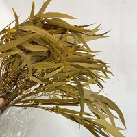100g d'eucalyptus ensemencé conservé naturel véritable verdure feuilles d'eucalyptus avec graines pour douche Arrangement mariages ferme