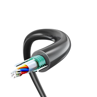 Factory Direct GYXTW Armored Fiber Cable 4-24 Core Single Mode Central Tube Steel Wire Reinforced OEM Length Available