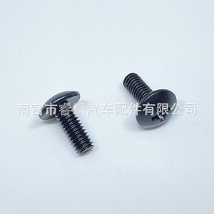 Vis autotaraudeuses à tête Phillips Shuangxuan 4x10mm en acier pour usage automobile - Product Image 4