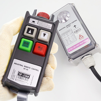 Remote Kontrol Nirkabel Industri 2-Kunci Kecepatan Tunggal dengan Pengunci Keamanan yang Dapat Disesuaikan untuk Hoist Listrik