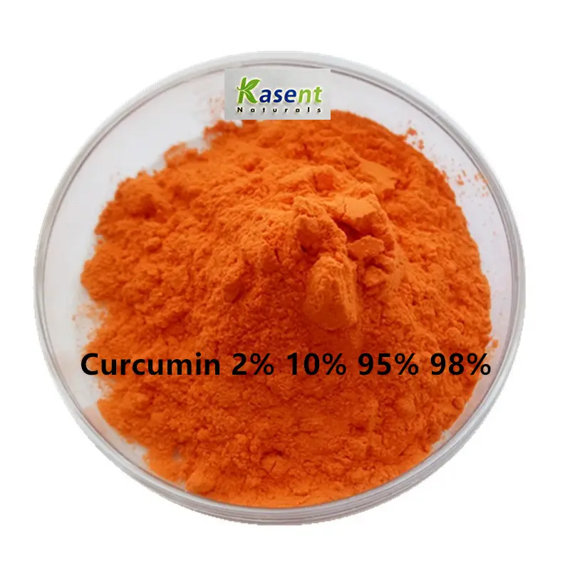 Di alta qualità naturale Curcuma Longa estratto di radice di Curcuma curcumina 95% in polvere 10% solubile in acqua curcumina in polvere