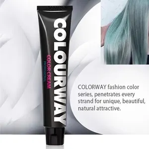 Hair color dye factory private label salon use permanent professional hair color cream