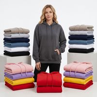 Sweat à capuche épais d'hiver de haute qualité 100% coton avec motif lettres imprimé numériquement et broderie - Unisexe personnalisé pour homme