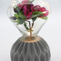 Lampe de table en cristal moderne à vendre, ou lampes suspendues, plantes d'intérieur, pour décorer votre vie