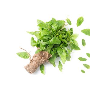 Grosir Pabrik 100% larut dalam air bubuk ekstrak Basil suci aditif makanan alami murni - Product Image 2