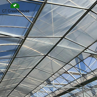 Serre à grand tunnel pour l'agriculture GT Vegetable Farming