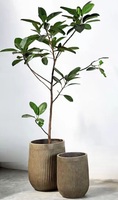 Ensemble de 2 jardinières rondes en ciment, grandes, grises et brunes, pour intérieur/extérieur, avec trous de drainage, pots à fleurs