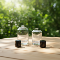 Flacon de parfum féerique avec boîte, fabricants authentiques, cylindre en verre de 60 ml, vaporisateur à pompe, emballage