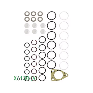 Kit de réparation de pompe à carburant véritable X6130 (A) spécial pour pompe à rampe commune diesel - Product Image 1