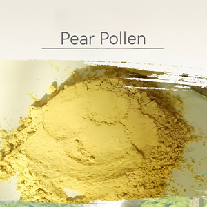 <span class=keywords><strong>Pollen</strong></span> de pollinisation de poire de haute qualité, spécialisé pour la pollinisation artificielle des arbres à poire, vitalité stable - Product Image 2