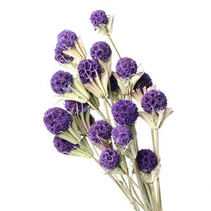 Boule de fleurs séchées immortelles et magnifiques, passe-partout pour la décoration de la maison - Product Image 1