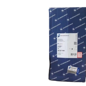 Les pistons de haute qualité 0610300 1381709 1411254 1435211 127L39 sont applicables aux moteurs DC12. - Product Image 1