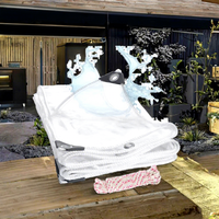 Bâche en PVC transparent ESHINE ESPVC450 pour jardin et extérieur, imperméable, style tissé, service de découpe/moulage