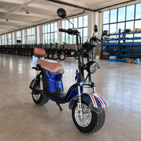 Scooter électrique Citycoco 1000W pour adultes, moto électrique à pneus larges, réseau de concessionnaires