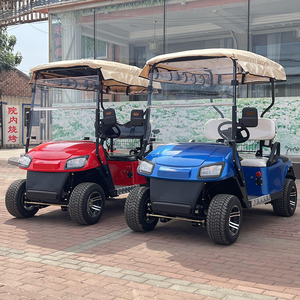 Chariot de golf électrique Elektro Buggies tout-terrain personnalisable avec certificat CE - Product Image 1