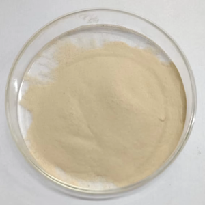 Extrait de Ginseng Panax Biologique Premium en Poudre, Complément Herbal, Marque Privée, Vente en Gros, Capsules Formulées Naturellement - Product Image 1