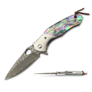 Cuchillo de supervivencia personalizado privado de alta calidad, cuchillas de Damasco, hoja y abulón, mango de resina, cuchillo plegable - Product Image 1