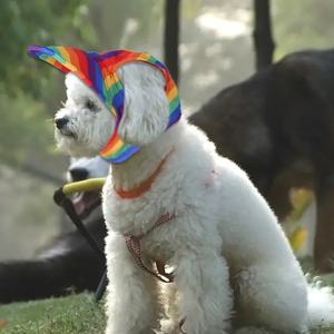 Custom Summer Puppy Cat Boné De Beisebol Chapéu De Proteção Solar Viseira Sunbonnet Pet Peaked Cap Chapéu Do Cão Casual Esporte Ao Ar Livre Personalizado - Product Image 2