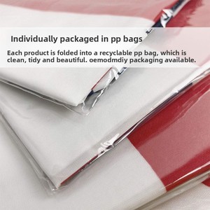 Banderas Personalizadas de Equipos de la <span class=keywords><strong>NFL</strong></span> de 3X5 Pies, Banderas de Alta Calidad con la Mascota de los New York Giants para Uso Promocional - Product Image 2