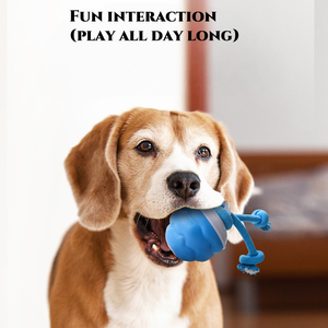 Akıllı Elektrikli Yuvarlanan Köpek Çiğneme Topu <span class=keywords><strong>2026</strong></span> Yeni Gelen Sesli İnteraktif Evcil Hayvan Oyuncağı İpli Köpek Egzersizi İçin - Product Image 2