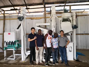 Hersteller verkauft 20 Tonnen/Tag automatische Getreide reinigung Verarbeitung Polieren Sortieren Reismühle kombinierte Reismühlen-Maschine