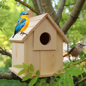 Fabrika sıcak satış zarif el yapımı çevre dostu Modern cilalı ahşap duvar asılı kuş ev-avlular için bir zevk - Product Image 3