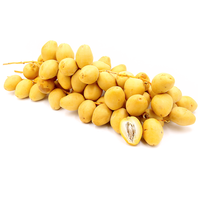 Cairo Fresh Premium Verse Egyptische Barhi Dadels Model Barhi-2025 Hoge Kwaliteit Natuurlijke Zoetheid Klaar voor Export naar Bangladesh