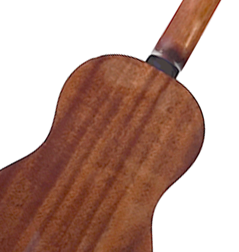 acoustic guitar godin