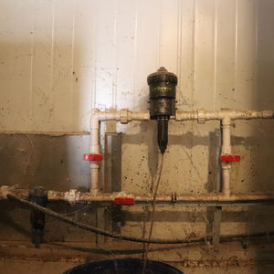 Toptan kaliteli ve Modern otomatik tavuk tabakası yükselterek 20000 yumurta tavuk yükseltmek için çin fabrikadan pil kafes - Product Image 6