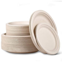 Assiette de bagasse de canne à sucre biodégradable plats de fête compostables assiette jetable pour gâteau et dessert