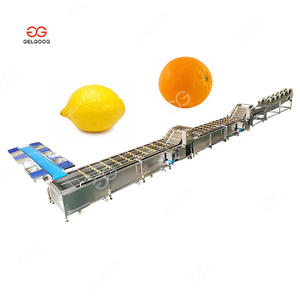 Gelgoog produttori industriali di piccole verdure commerciali e ananas frutta lavatrice per il lavaggio della frutta - Product Image 3