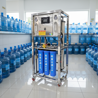Système de traitement d'eau par osmose inverse 250LPH 1600GPD à flux direct pour projet de station d'eau communautaire 304SS RO