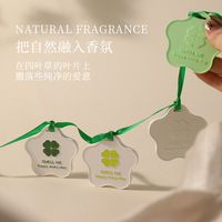 Plâtre aromatique suspendu personnalisé et écologique avec parfum d'huiles essentielles longue durée pour ornement de placard