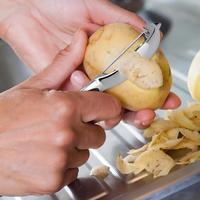 Premium Y Dunschiller Zinklegering Groenteschiller Handmatige Snijmachine Met Antisliphandvat