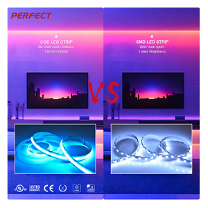 LED COB Inteligente de Cobre PERFECT, IP20 No Impermeable, Flexible, RGB+Blanco, 4 Colores, Alta Densidad, 784leds/m, 12mm de Ancho, Sin Puntos, DC24V - Product Image 3