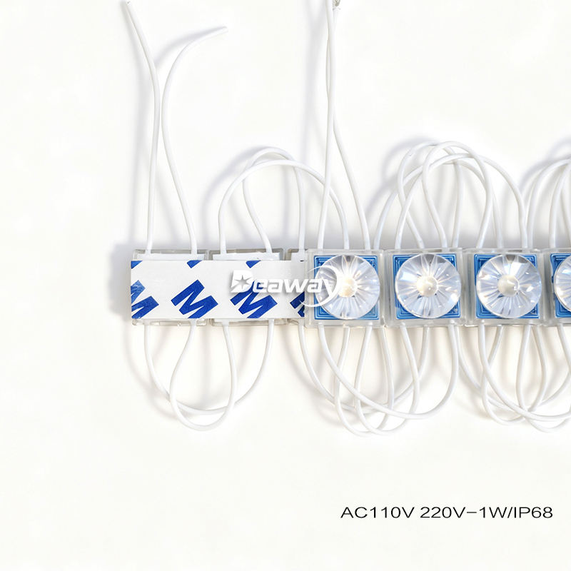AC 110V / 220V Diffuse Reflection Lossless Module 1W 1LEDs Outdoor ...