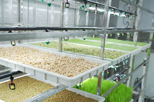 Conteneurs <span class=keywords><strong>d</strong></span>'agriculture <span class=keywords><strong>d</strong></span>'<span class=keywords><strong>intérieur</strong></span> hydroponique Conteneur Microgreen Farm Microgreens Cultivant des fermes en conteneurs avec solaire - Product Image 5