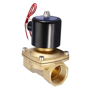 Electroválvula de Agua de Latón 2W250 25 NC, 12V 24V CC, 1/2 Pulgada 3/4 Pulgada - Product Image 1