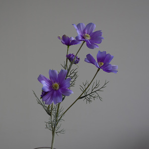 ดอกเดซี่ปลอมสำหรับงานแต่งงานทำจากผ้าไหมลูกลิออปซิสสีม่วงสำหรับงานแต่งงานงานปาร์ตี้ - Product Image 3